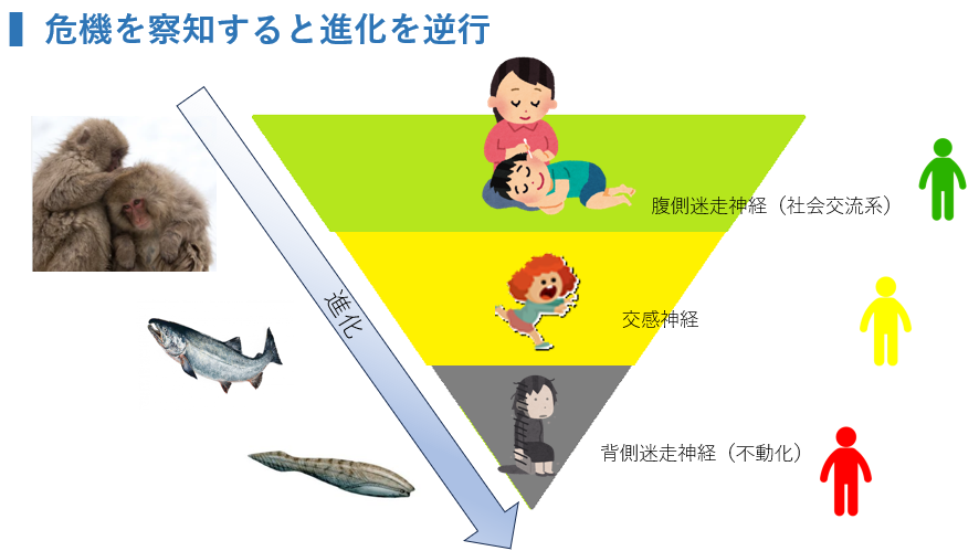 進化を逆行する自律神経反応