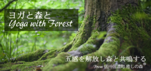 Banner promoting "Yoga with Forest" with Japanese title over a mossy forest backdrop and subtitle text about releasing the senses and healing in Shinano-machi forest.