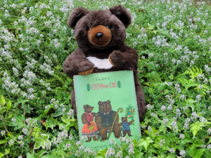 Brown teddy bear holds a green children’s book outdoors, with a carpet of small purple and white flowers around it.