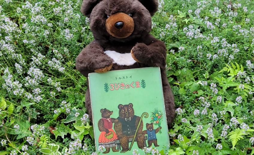 Brown teddy bear holds a green children’s book outdoors, with a carpet of small purple and white flowers around it.